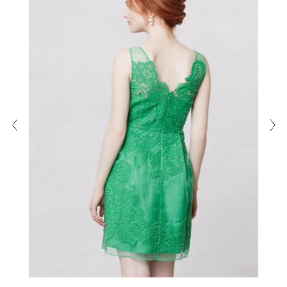 Baraschi Silk Embroidered Dress